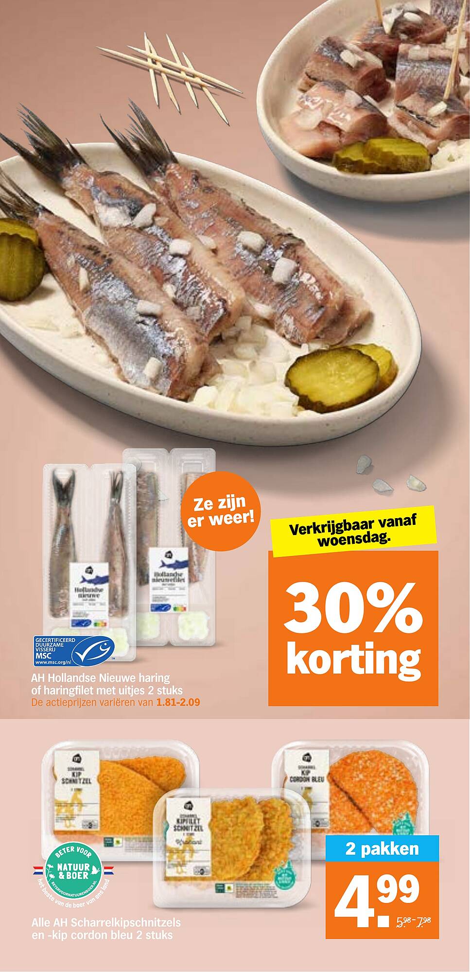 Albert Heijn folder - Pagina 17