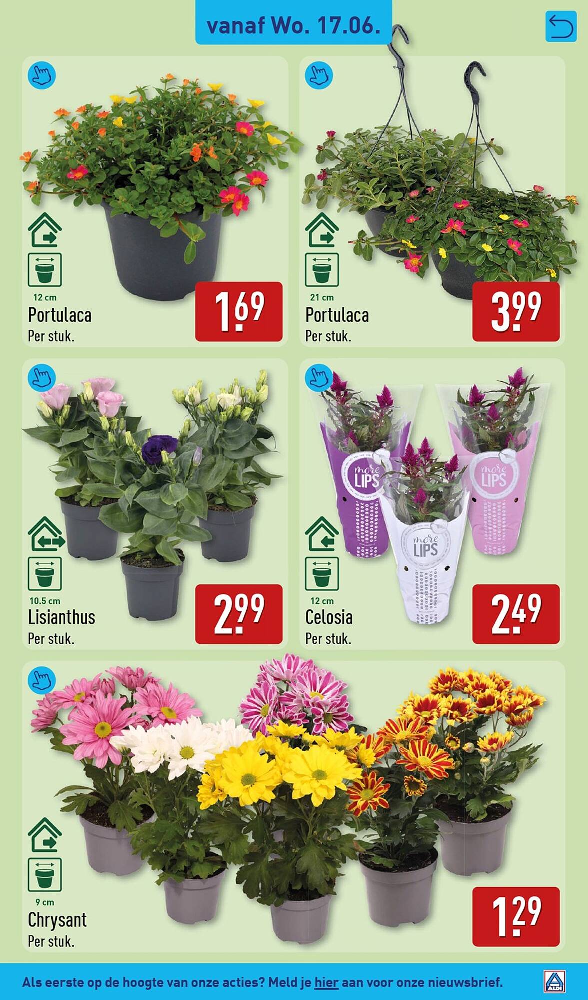 ALDI folder - Pagina 41