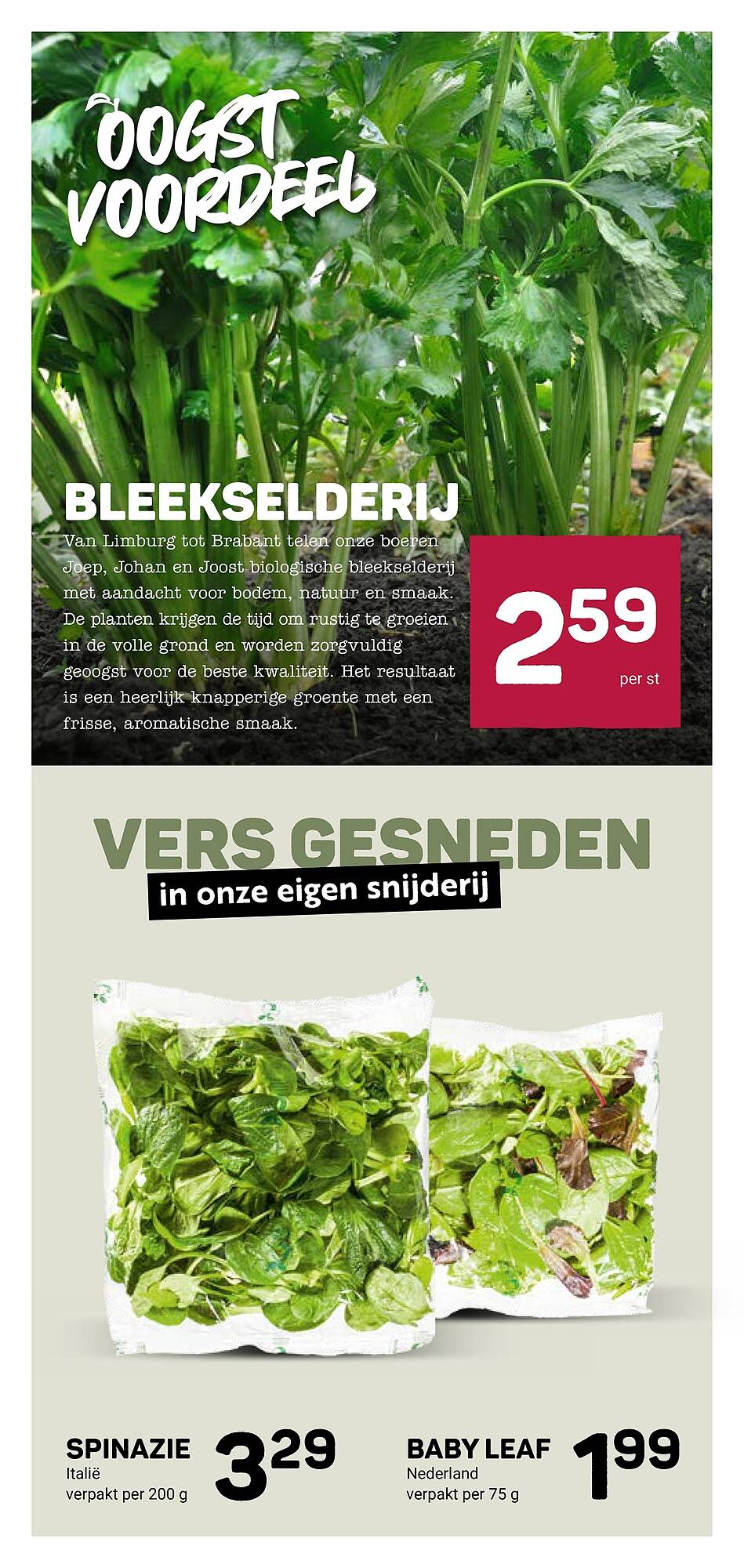 Ekoplaza folder - Pagina 5