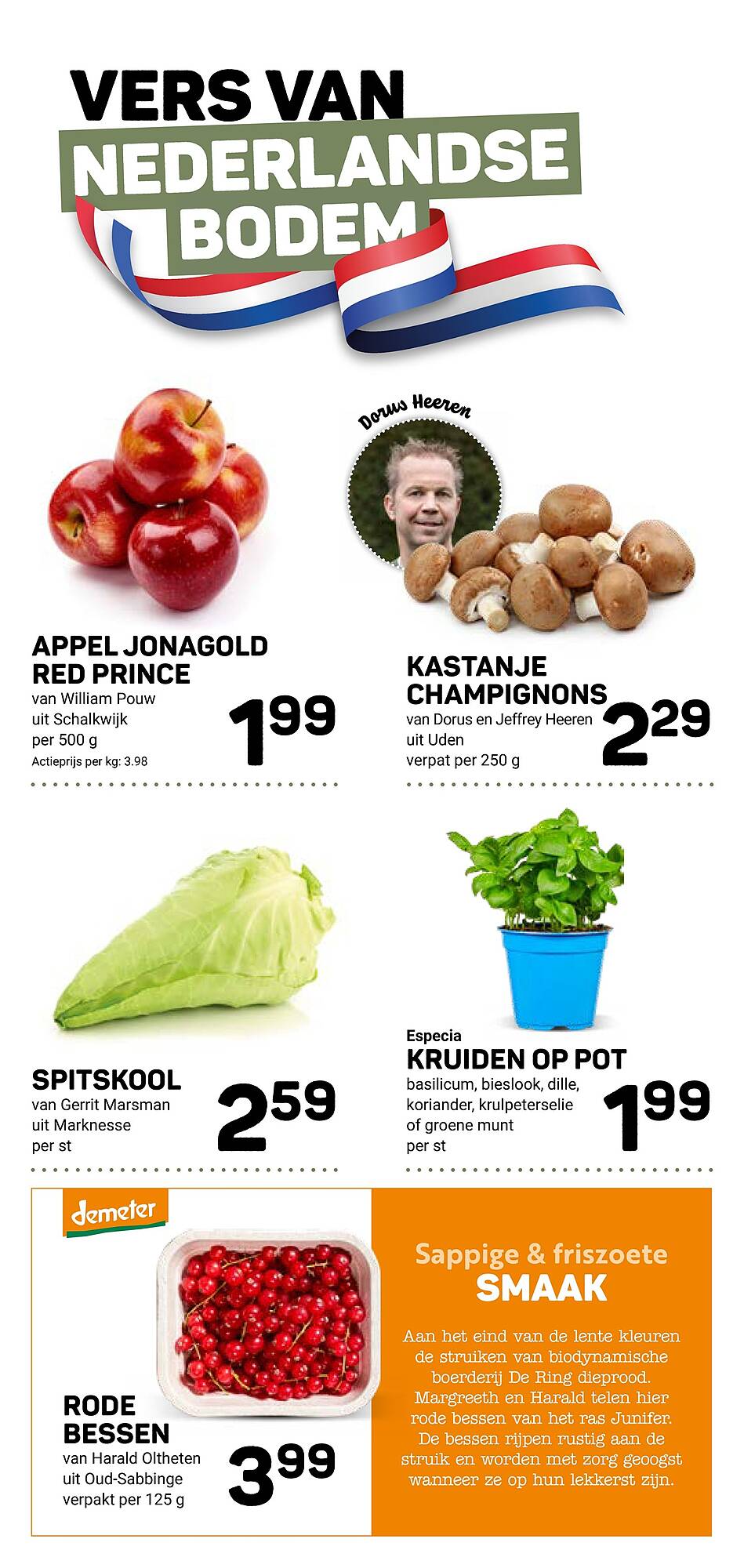 Ekoplaza folder - Pagina 6