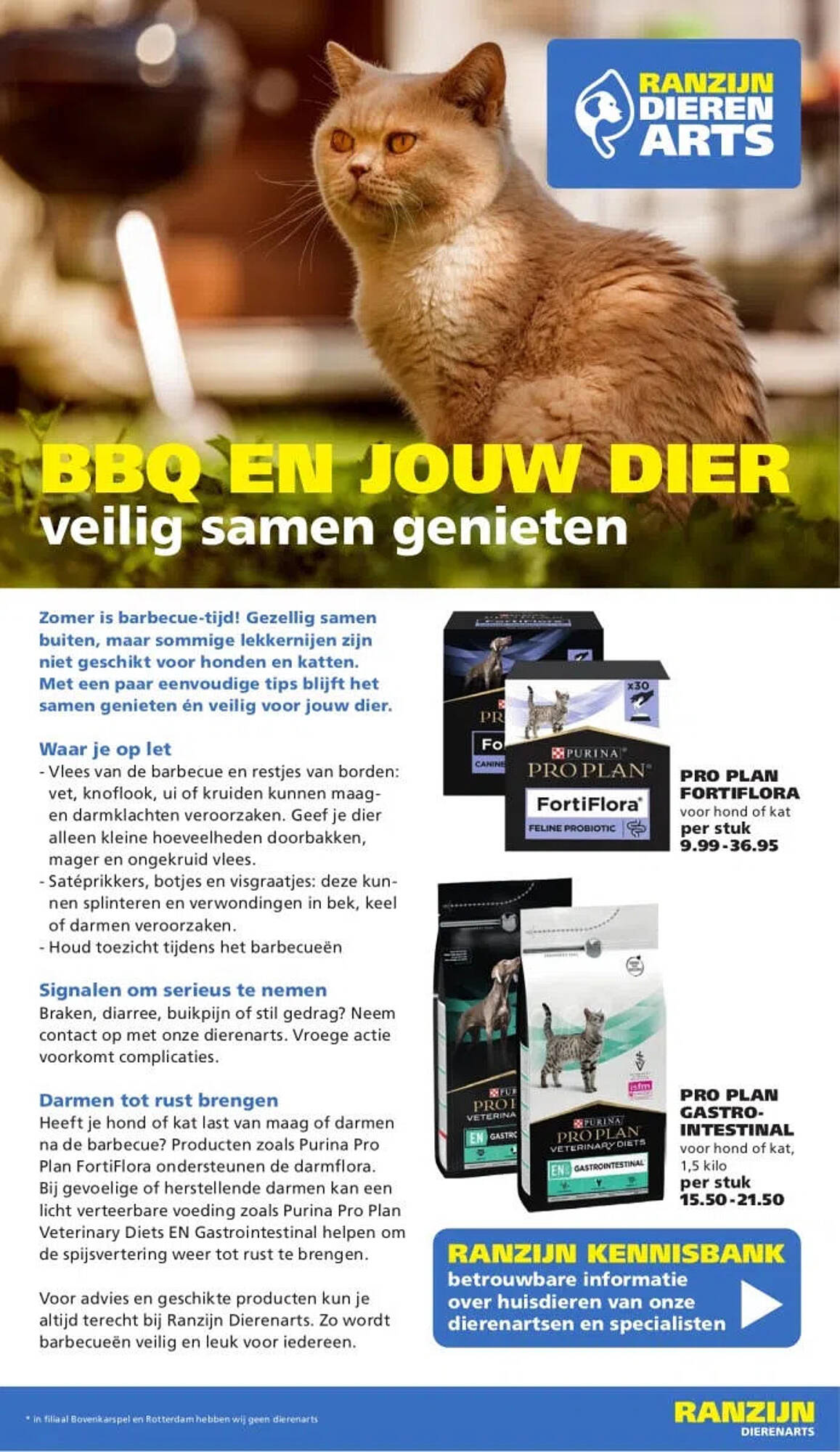 Ranzijn folder - Pagina 13
