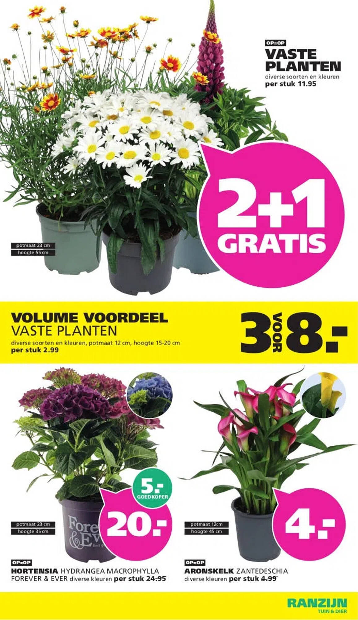 Ranzijn folder - Pagina 2