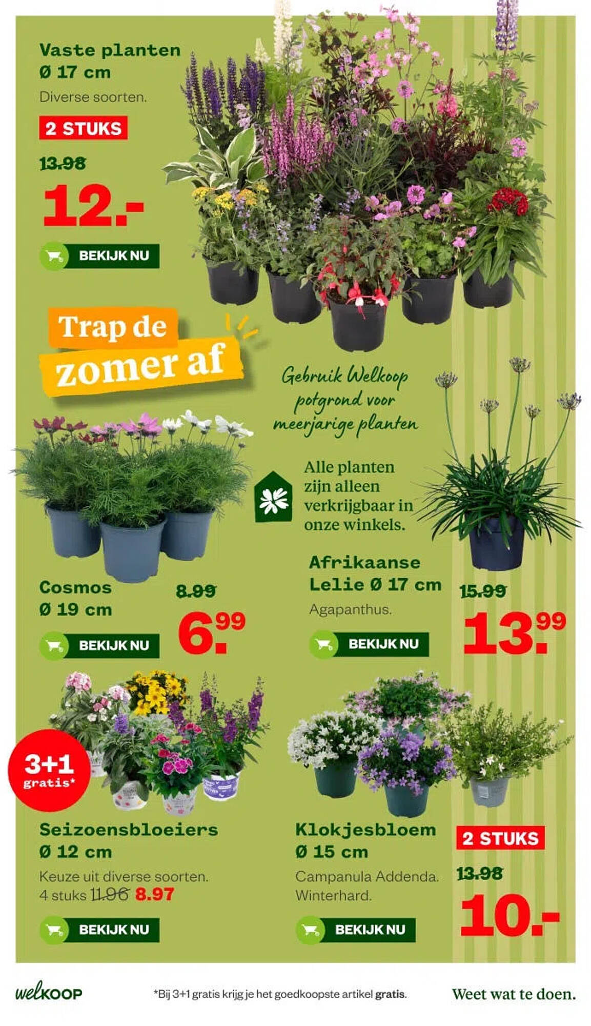 Welkoop folder - Pagina 27