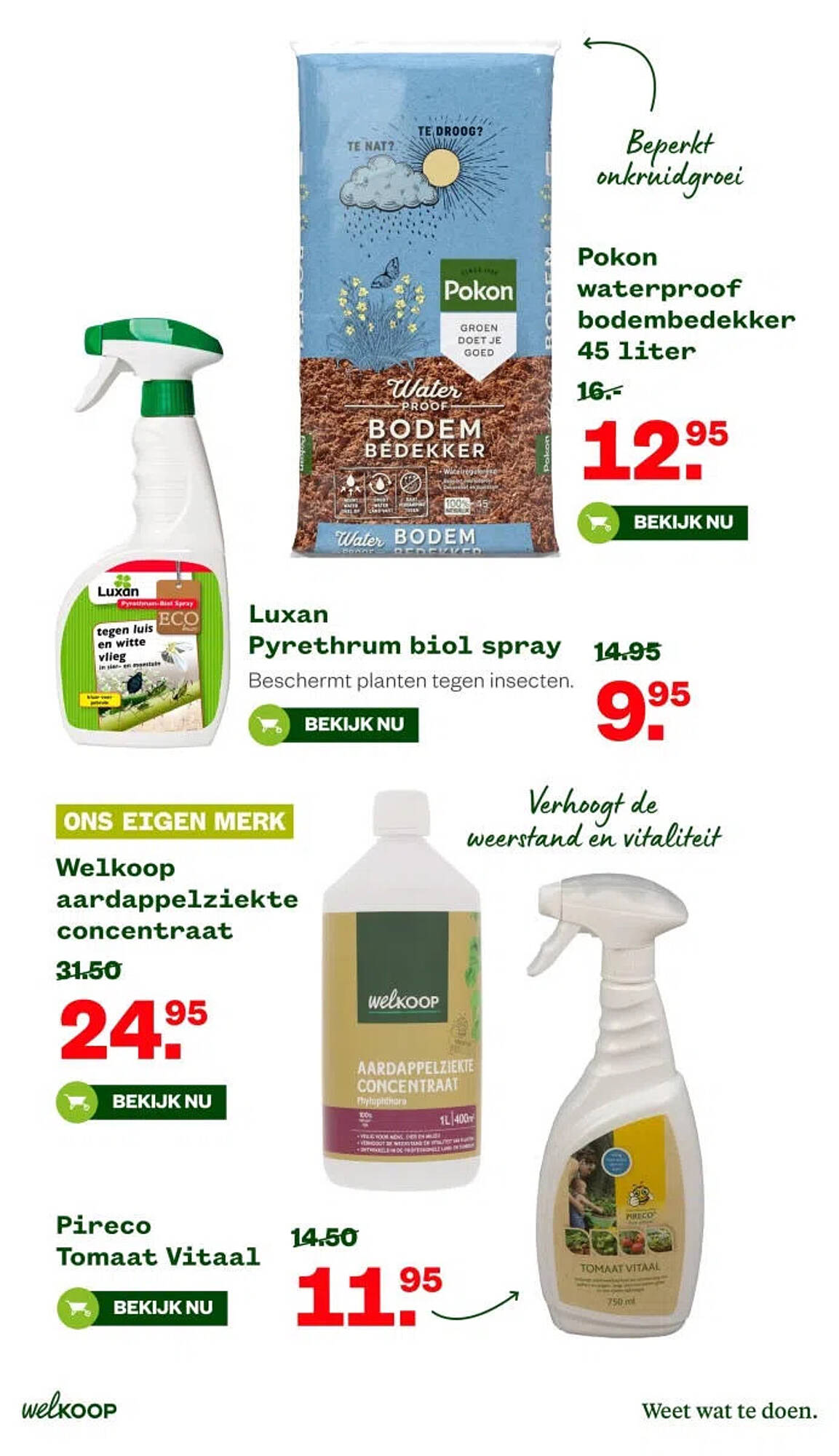 Welkoop folder - Pagina 29