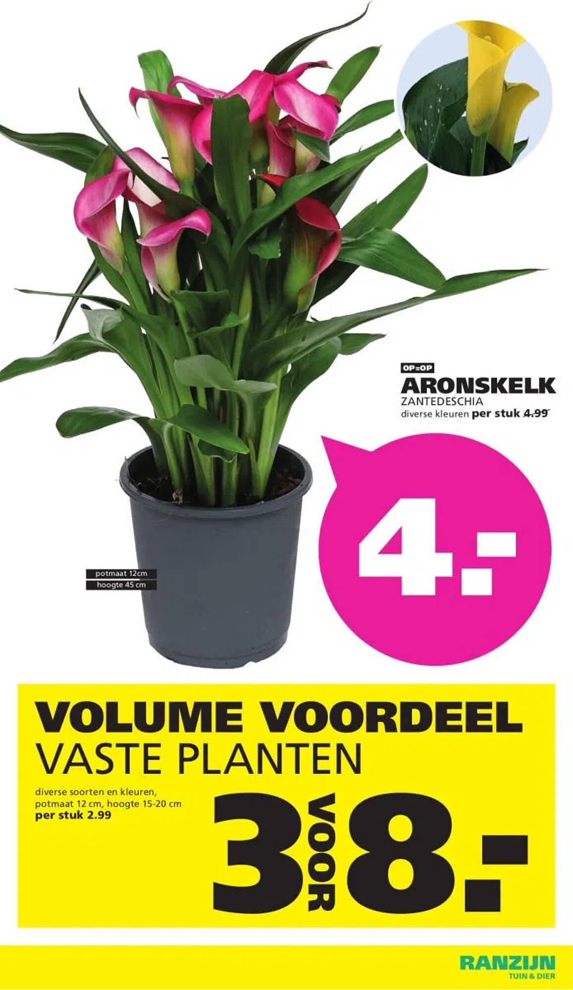 Ranzijn folder - Pagina 2