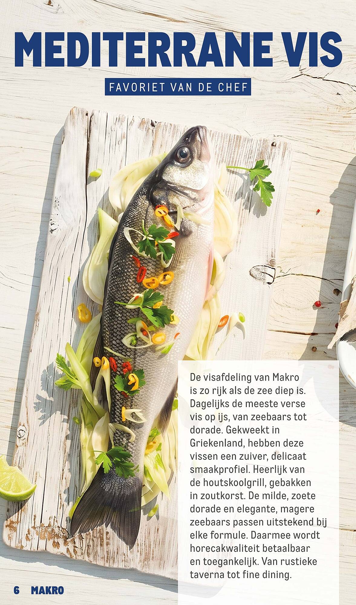 Makro folder - Pagina 6