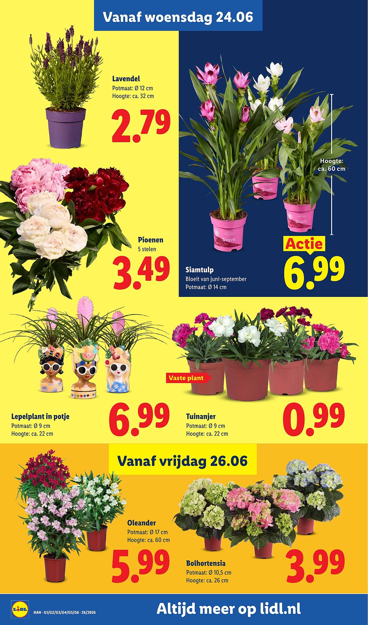 Lidl folder - Pagina 19