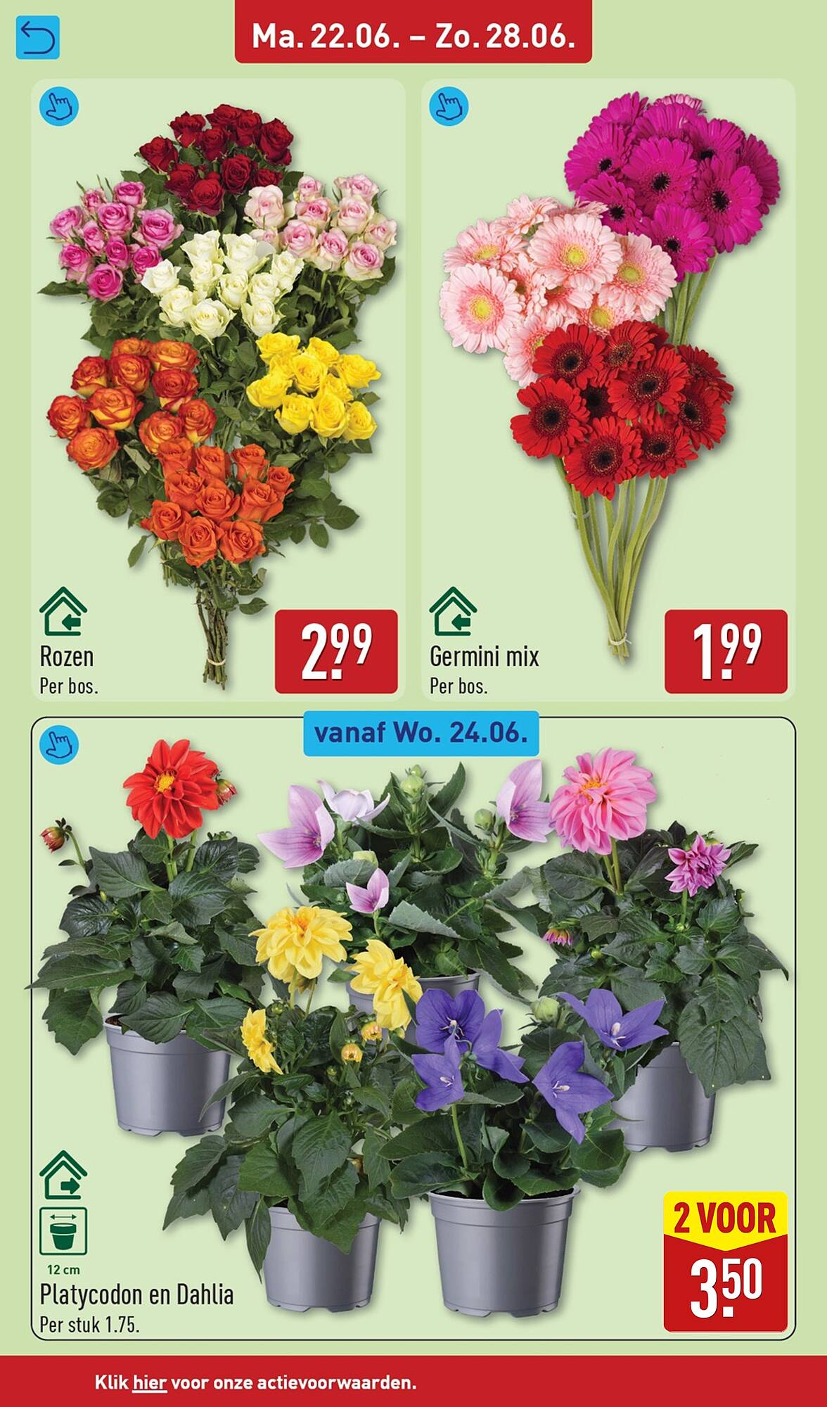 ALDI folder - Pagina 38