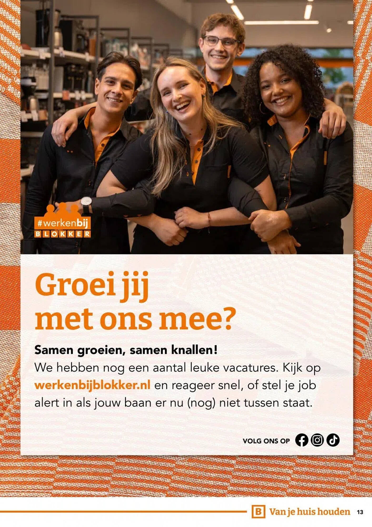 Blokker folder - Pagina 13
