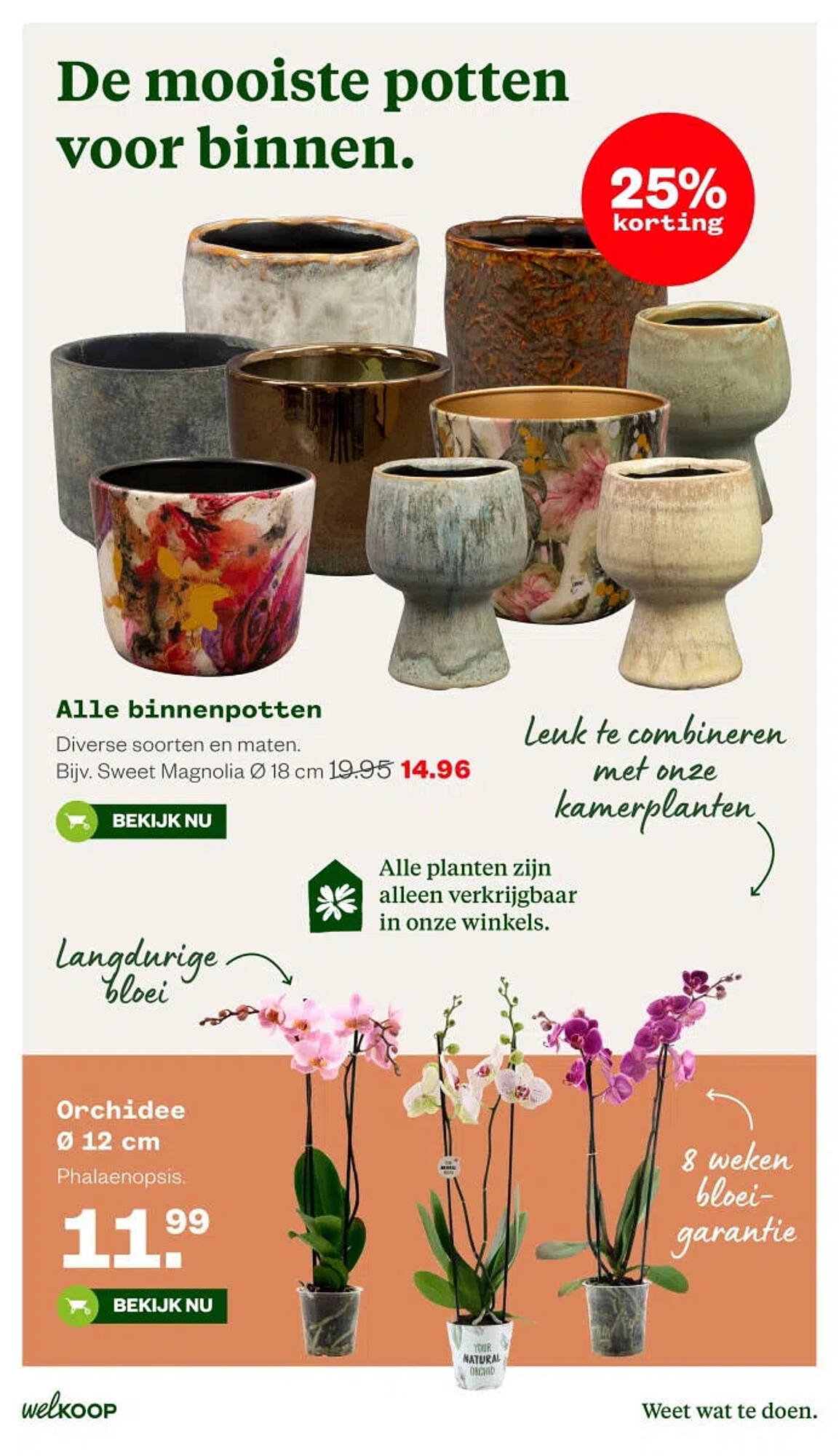 Welkoop folder - Pagina 16