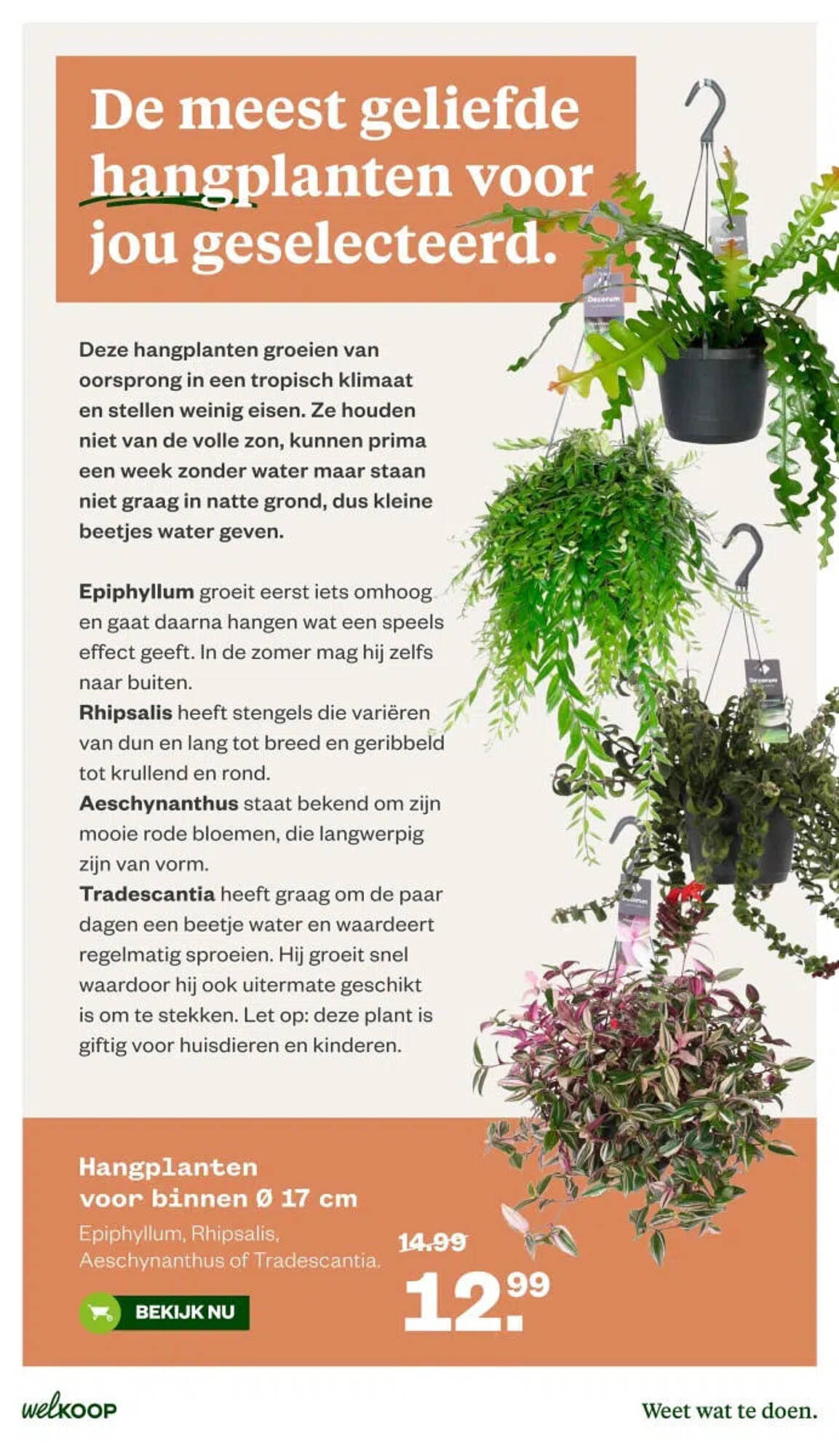 Welkoop folder - Pagina 17