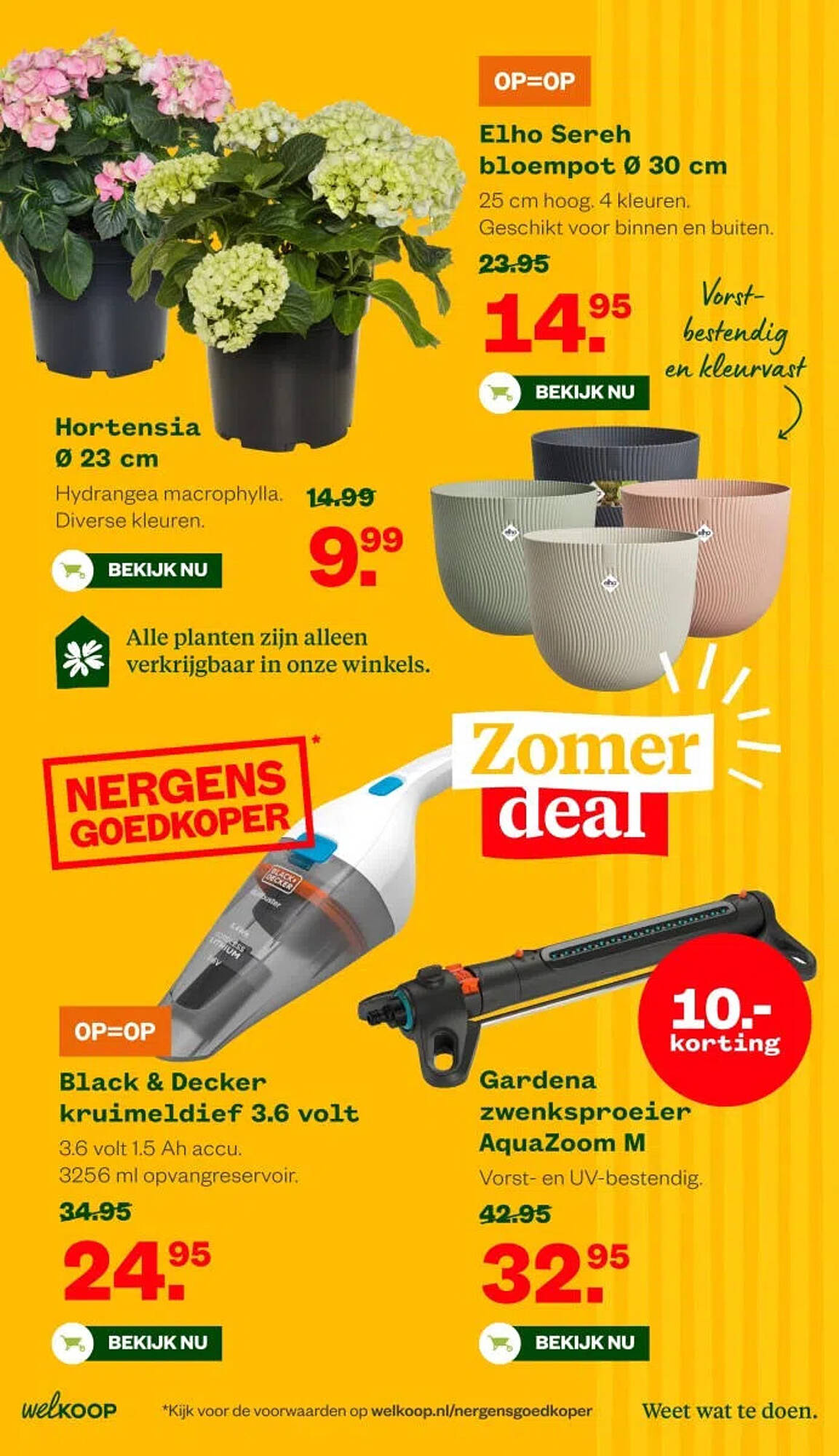 Welkoop folder - Pagina 6