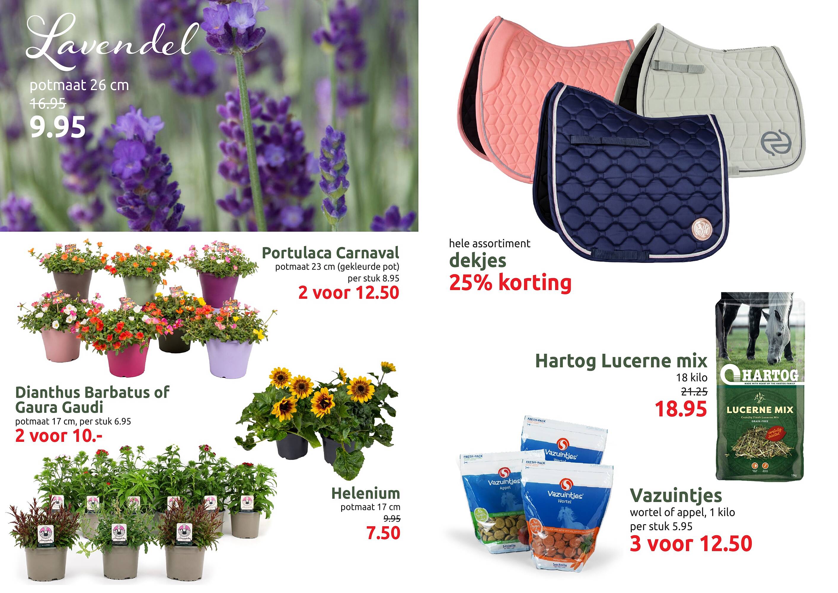 Deka Tuin folder - Pagina 4