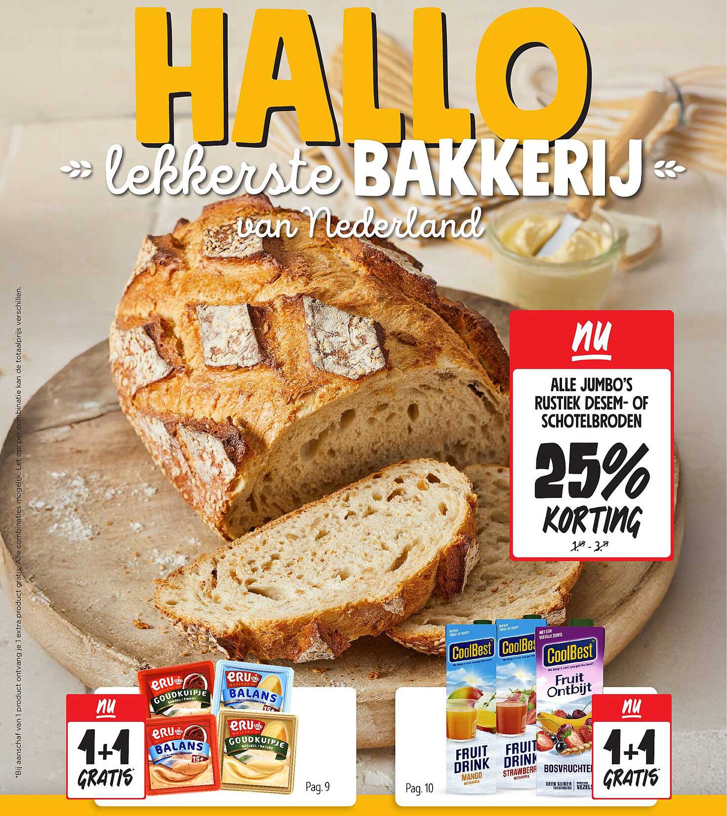 ALLE JUMBO'S RUSTIEK DEME- OF SCHOTELBRODEN 25% KORTING