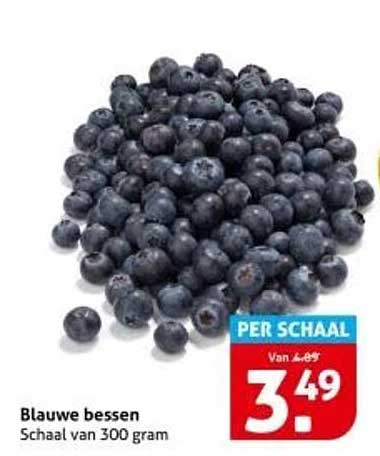 Blauwe bessen - Schaaltje van 300 gram