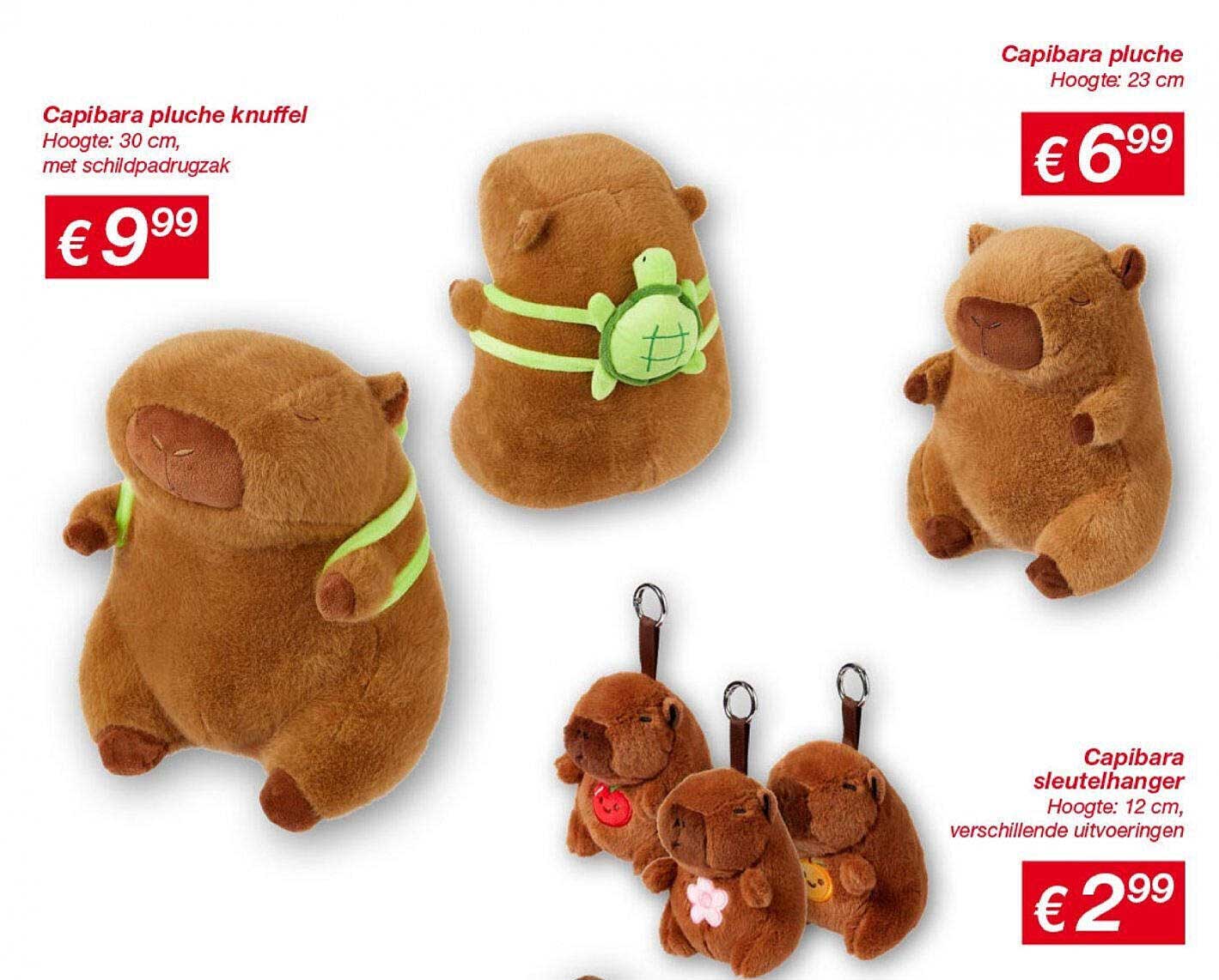 Capibara pluche knuffel