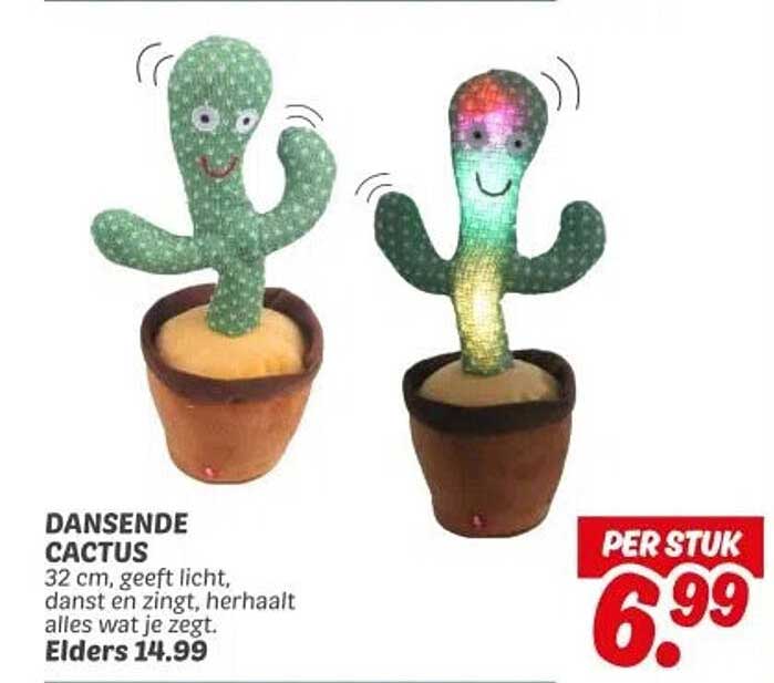 DANSENDE CACTUS