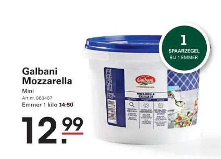 Galbani Mozzarella Mini