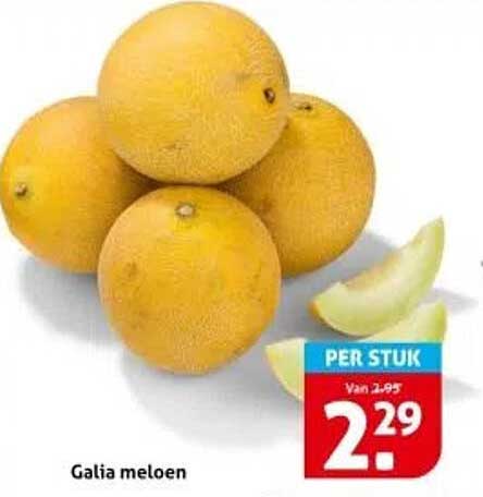 Galia meloen