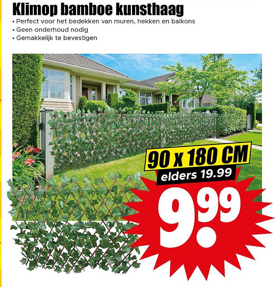 Klimop bamboe kunsthaag