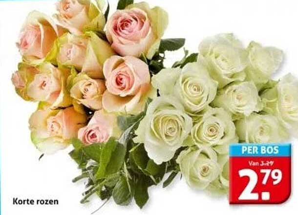 Korte rozen