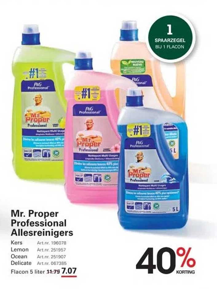 Mr. Proper Professional Allesreinigers