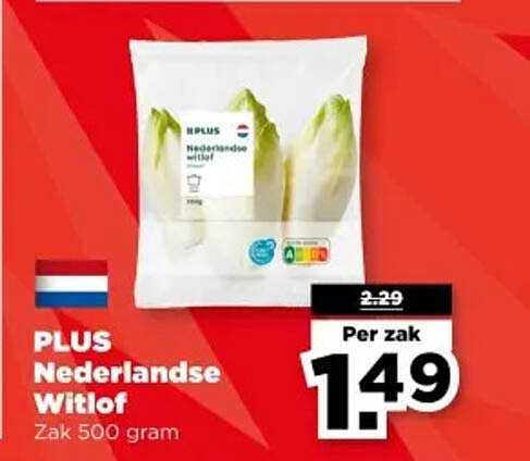 PLUS Nederlandse Witlof