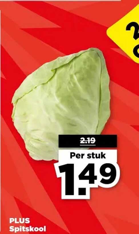 PLUS Spitskool