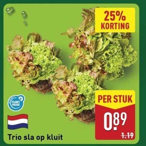 Trio sla op kluit