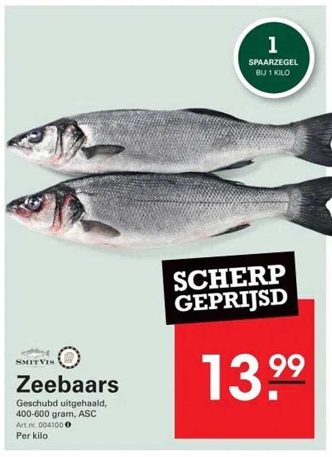 Zeebaars