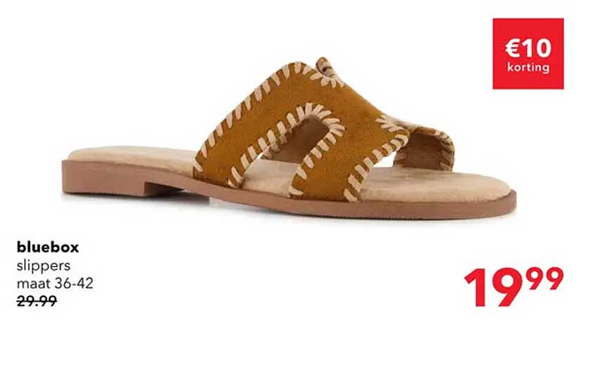 bluebox slippers maat 36-42