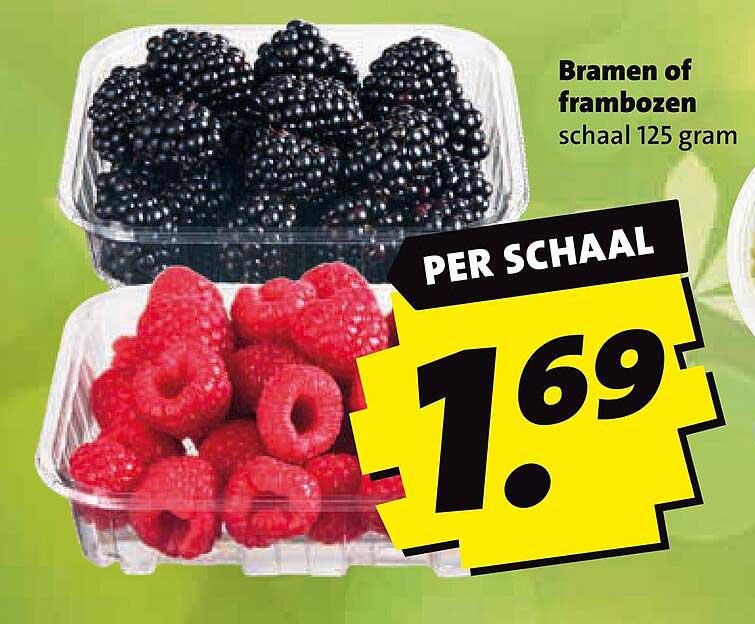 Bramen of frambozen schaal 125 gram PER SCHAAL