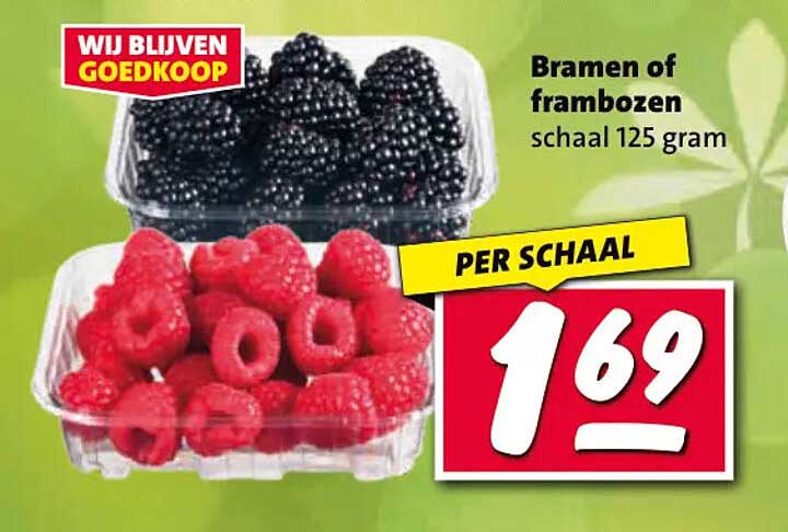 Bramen of frambozen schaal 125 gram PER SCHAAL