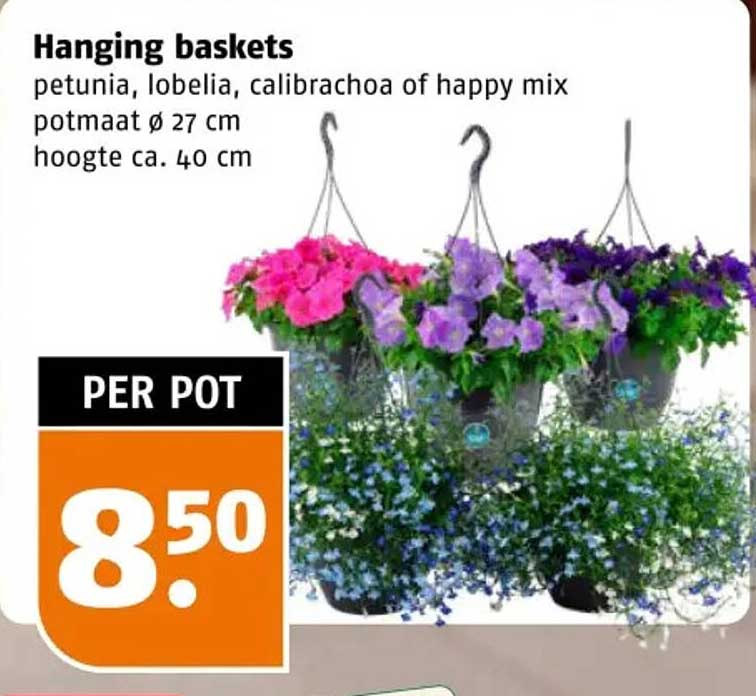 Hanging baskets