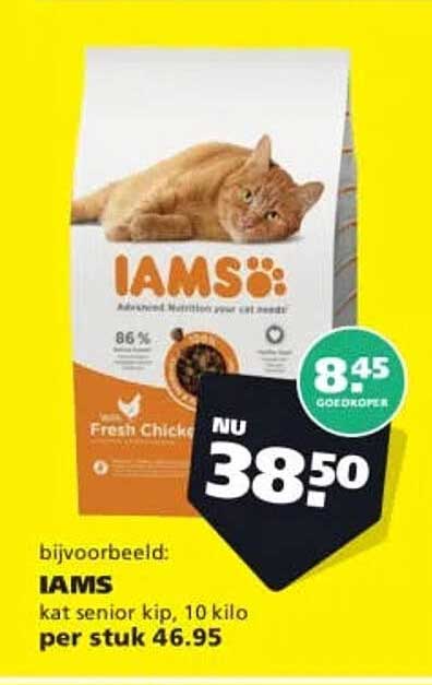 IAMS kat senior kip, 10 kilo