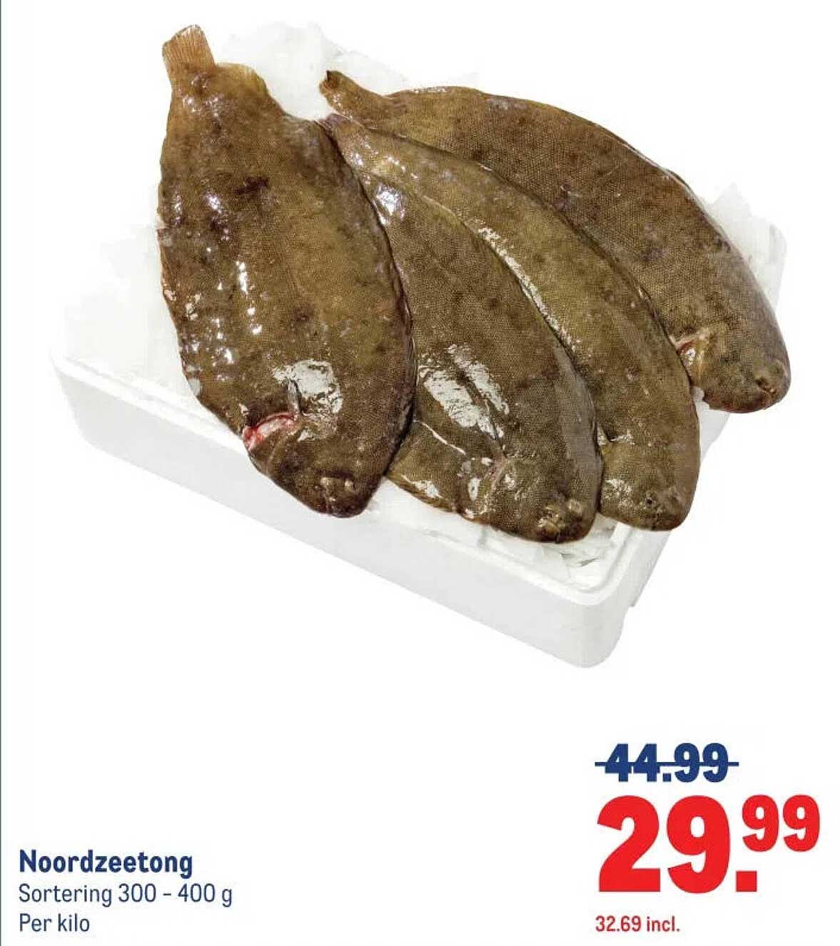 Noordzeetong