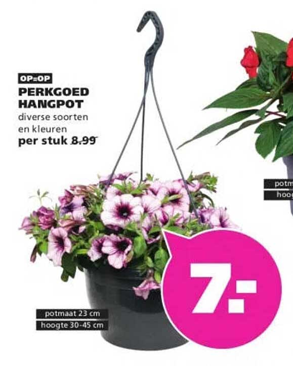 OP=OP PERKGOED HANGPOT diverse soorten en kleuren per stuk 8.99