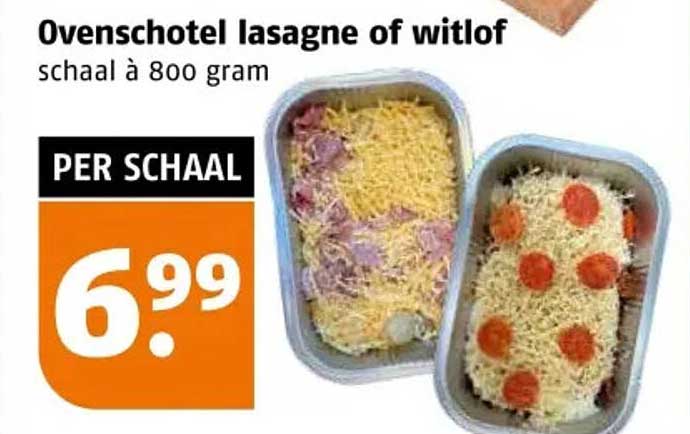 Ovenschotel lasagne of witlof schaal à 800 gram