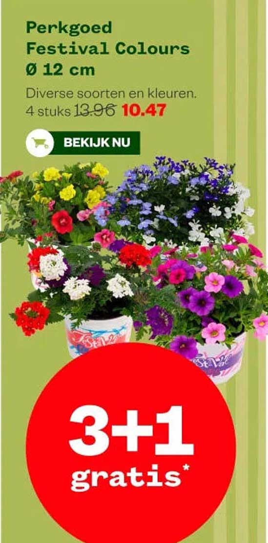 Perkgoed Festival Colours Ø 12 cm 3+1 gratis