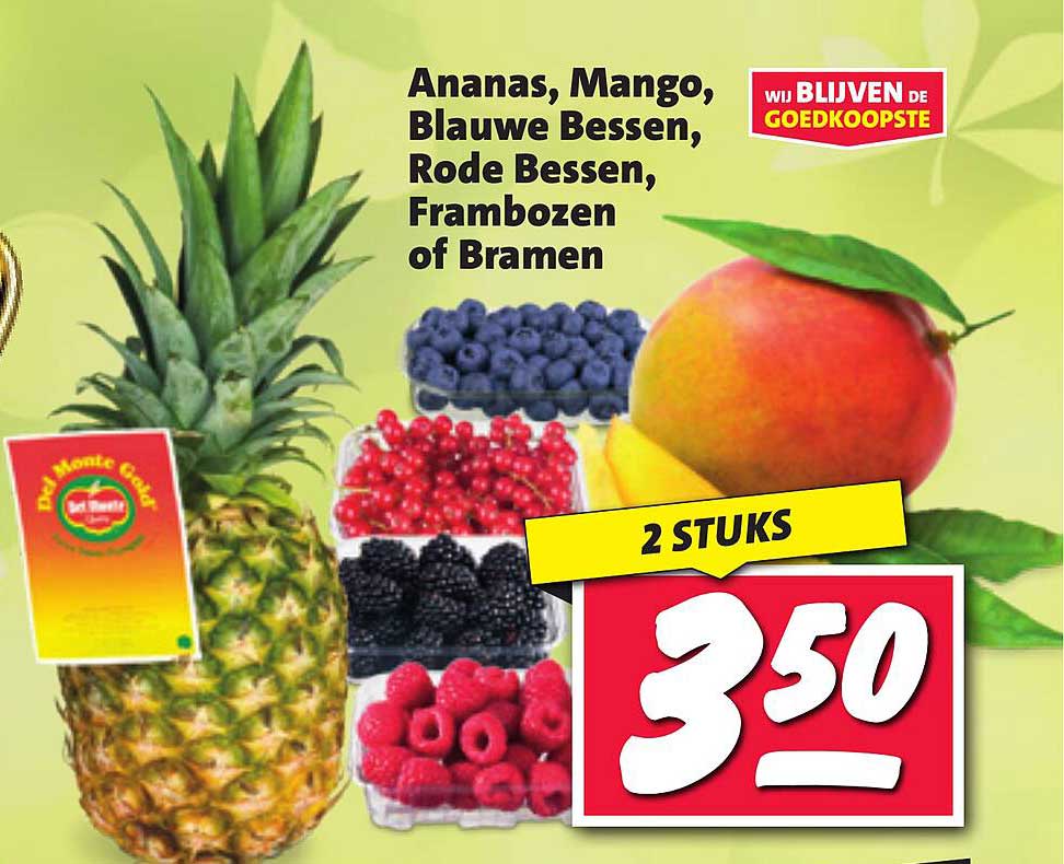 Ananas, Mango, Blauwe Bessen, Rode Bessen, Frambozen of Bramen - 2 STUKS