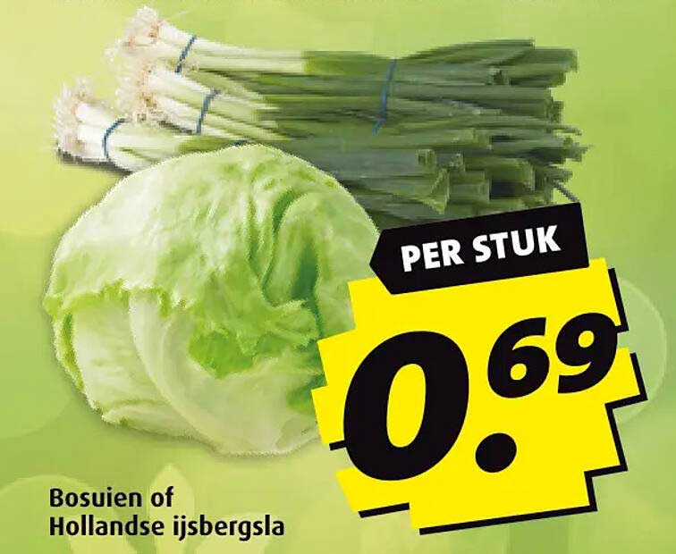 Bosuien of Hollandse ijsbergsla