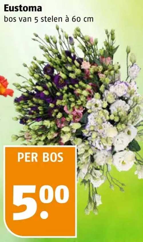 Eustoma bos van 5 stelen à 60 cm