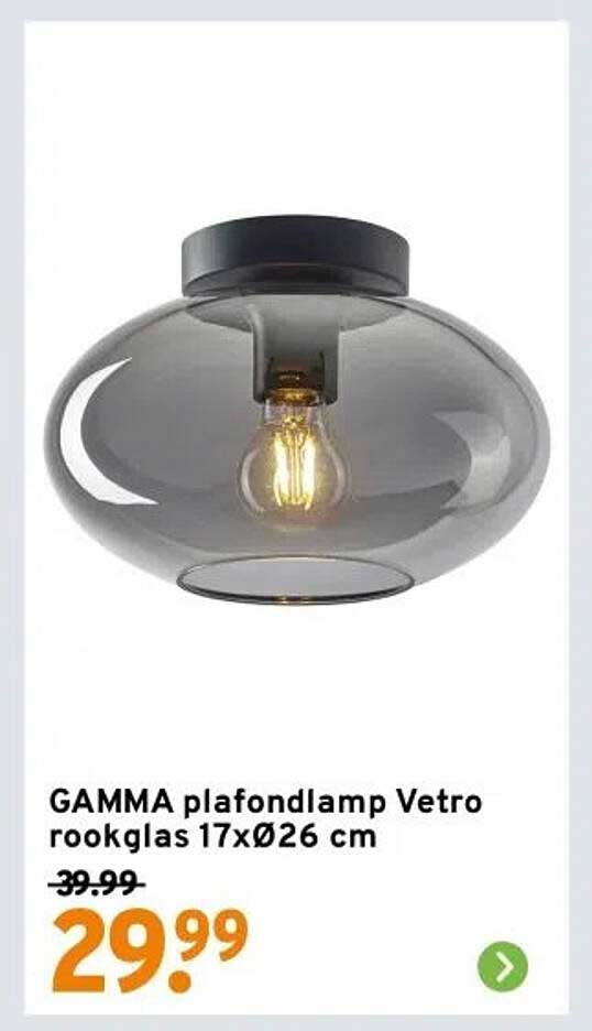 GAMMA plafondlamp Vetro rookglas 17xØ26 cm