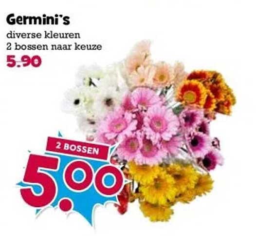 Germini's