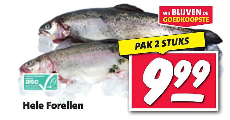 Hele Forellen