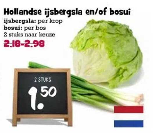 Hollandse ijsbergsla en/of bosui