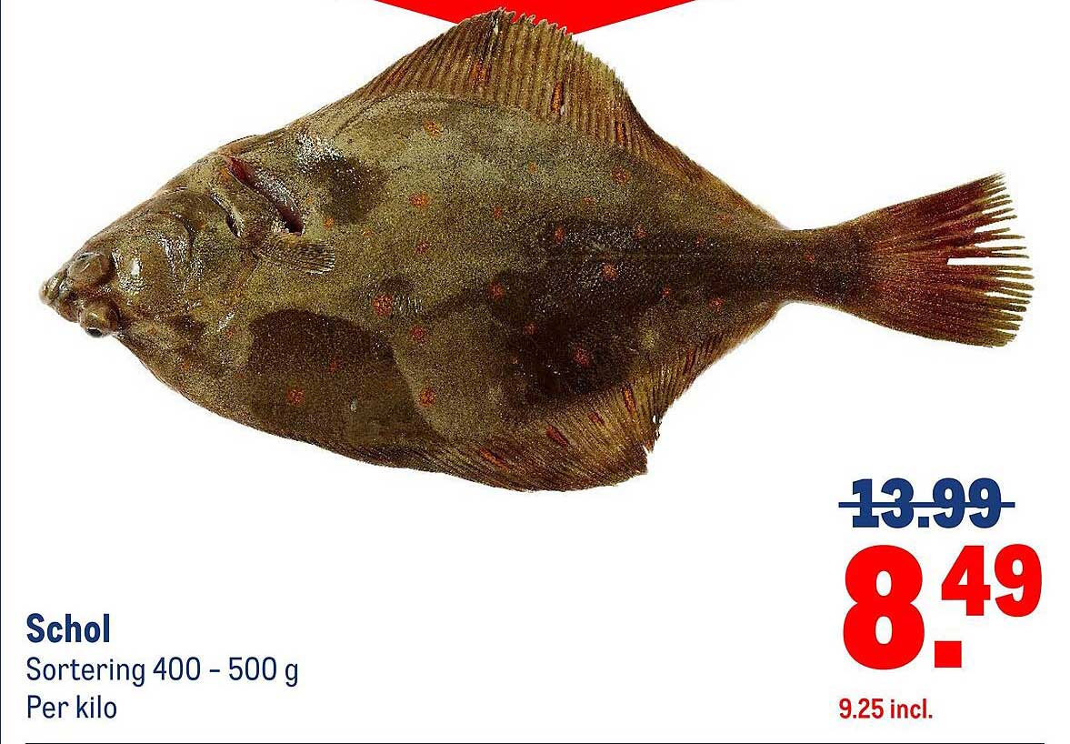 Schol Sortering 400 - 500 g Per kilo