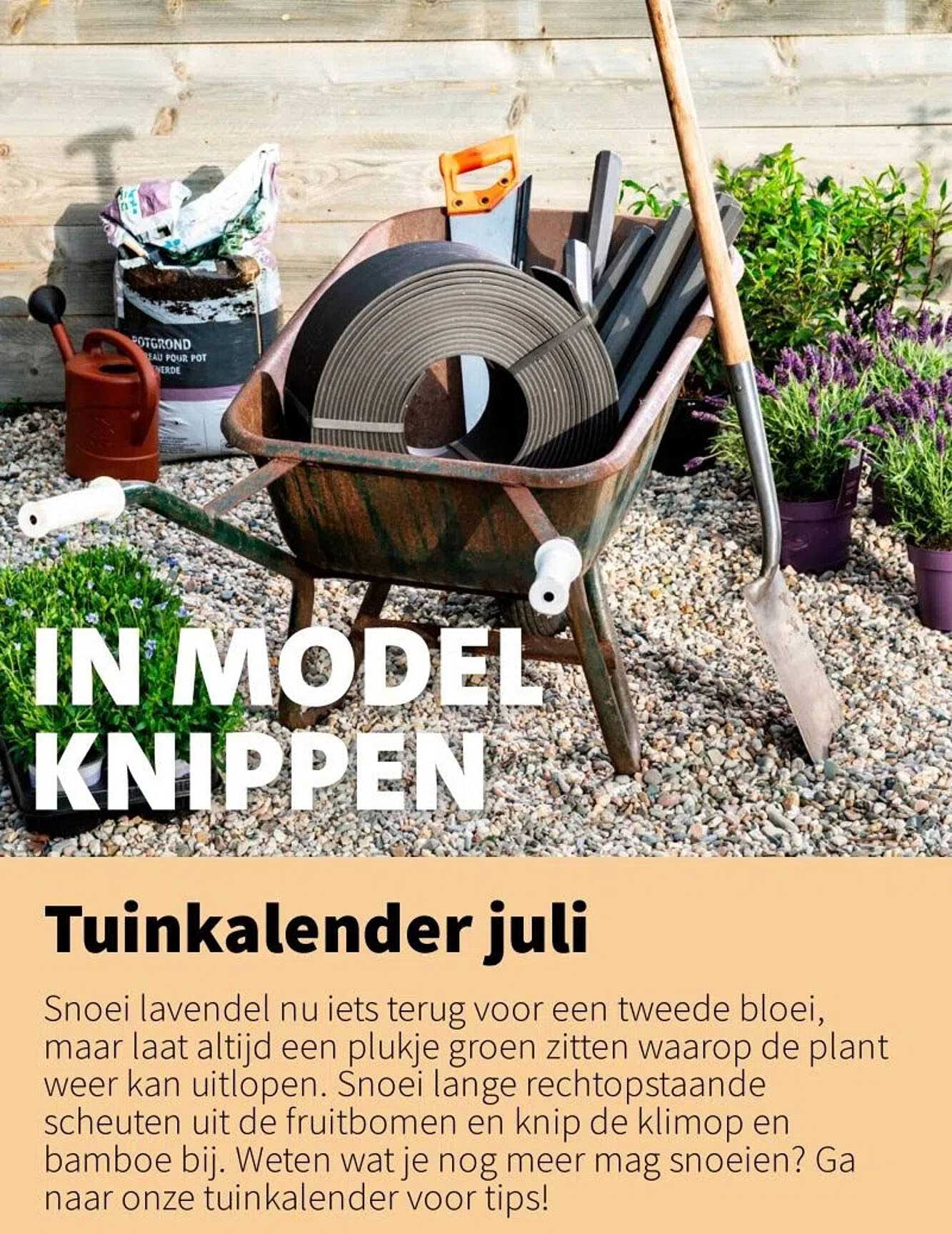 Tuinkalender juli