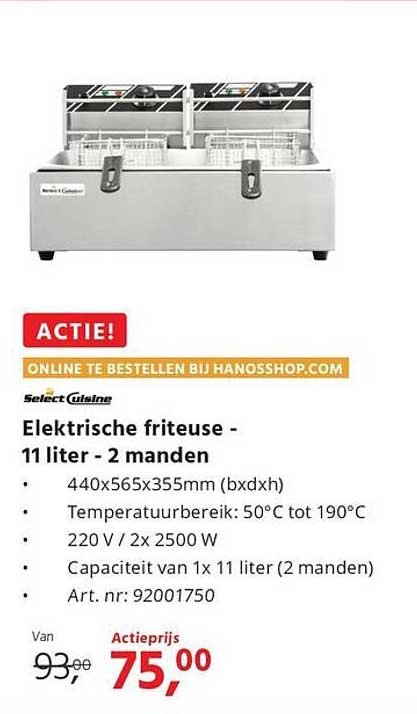 Elektrische friteuse - 11 liter - 2 manden