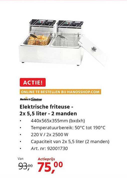 Elektrische friteuse - 2x 5,5 liter - 2 manden